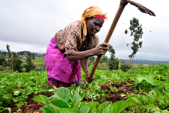 Horn of Africa: The Linkages between Food Insecurity, Migration and Conflict